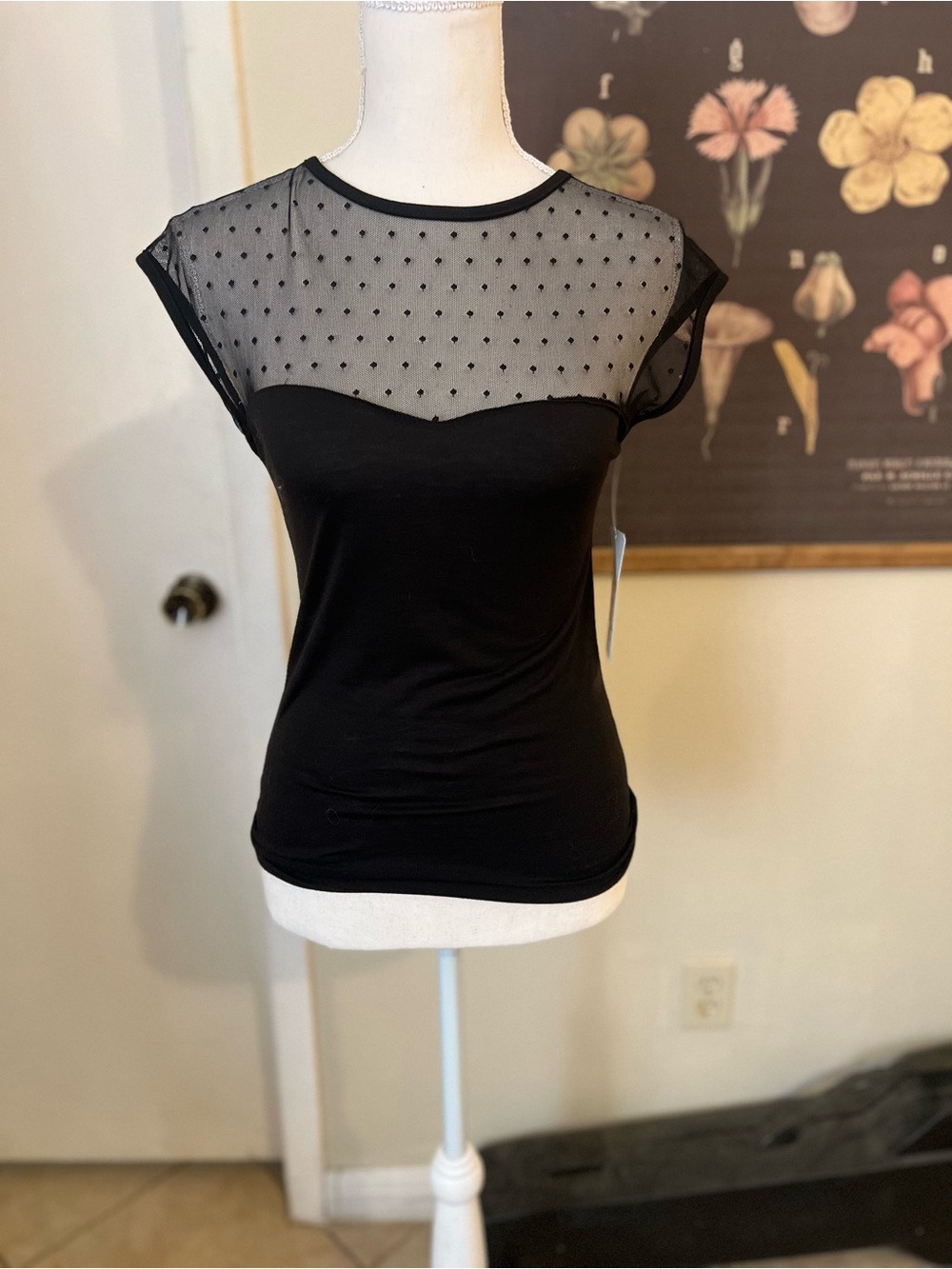 Steady Clothing Black Dot Sheer Mesh Top